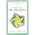 Little Book of Big Promises - Paperback