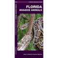 Florida Invasive Animals: A Folding Pocket Guide to Familiar Animals - Paperback