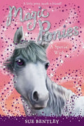A Special Wish - Paperback