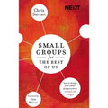 Small Groups for the Rest of Us: How to Design Your Small Groups System to Reach the Fringes - Paperback