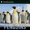 Penguins - Paperback