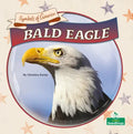 Bald Eagle - Paperback