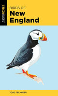Birds of New England - Paperback