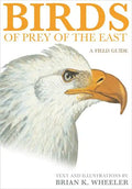 Birds of Prey of the East: A Field Guide - Paperback