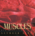 Muscles: Our Muscular System - Paperback
