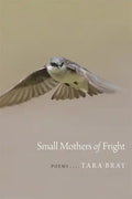 Small Mothers of Fright: Poems - Paperback