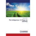 Eshkibok's Native 12 Steps - Paperback