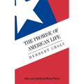 The Promise of American Life: Imprisonment in the World - Paperback