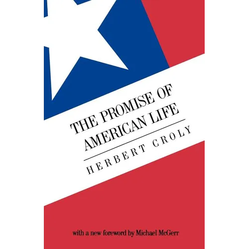 The Promise of American Life: Imprisonment in the World - Paperback