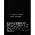 Ester Fleckner: I Navigate in Collisions - Paperback