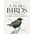 A Year of Birds: Writings on Birds from the Journal of Henry David Thoreau - Paperback