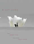 A Lily Lilies - Paperback