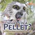What's in a Pellet? Owl Digestive System and Dissecting Owl Pellets Grade 6-8 Life Science - Paperback