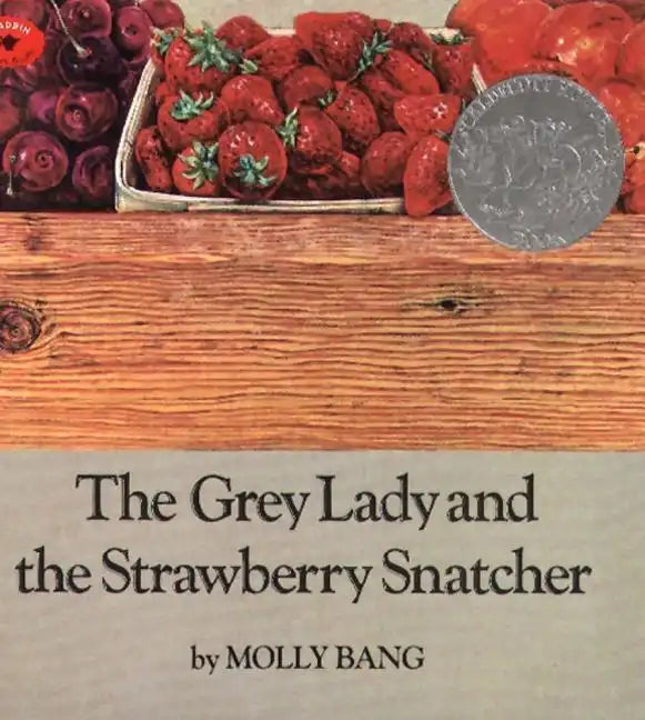 The Grey Lady and the Strawberry Snatcher - Paperback