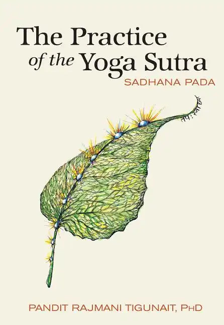 The Practice of the Yoga Sutra: Sadhana Pada - Paperback