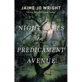 Night Falls on Predicament Avenue - Hardcover