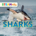 Sharks - Hardcover