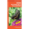 Ohio Butterflies & Pollinators: A Folding Pocket Guide to Familiar Species