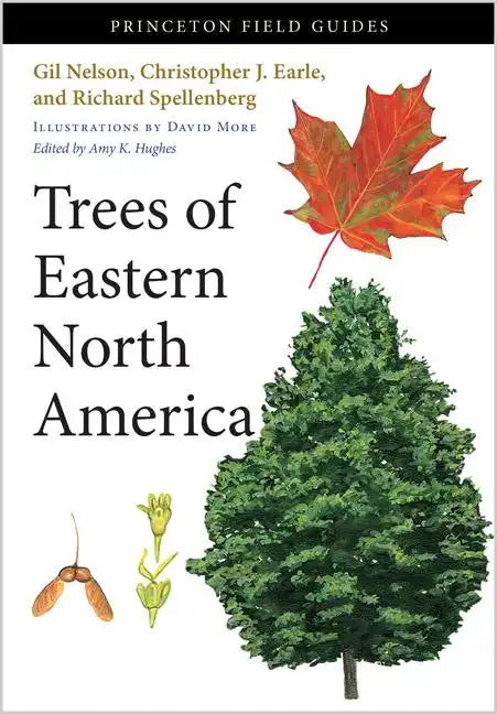 Trees of Eastern North America - Paperback