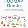 Free Guide: FODMAP Gentle Diet