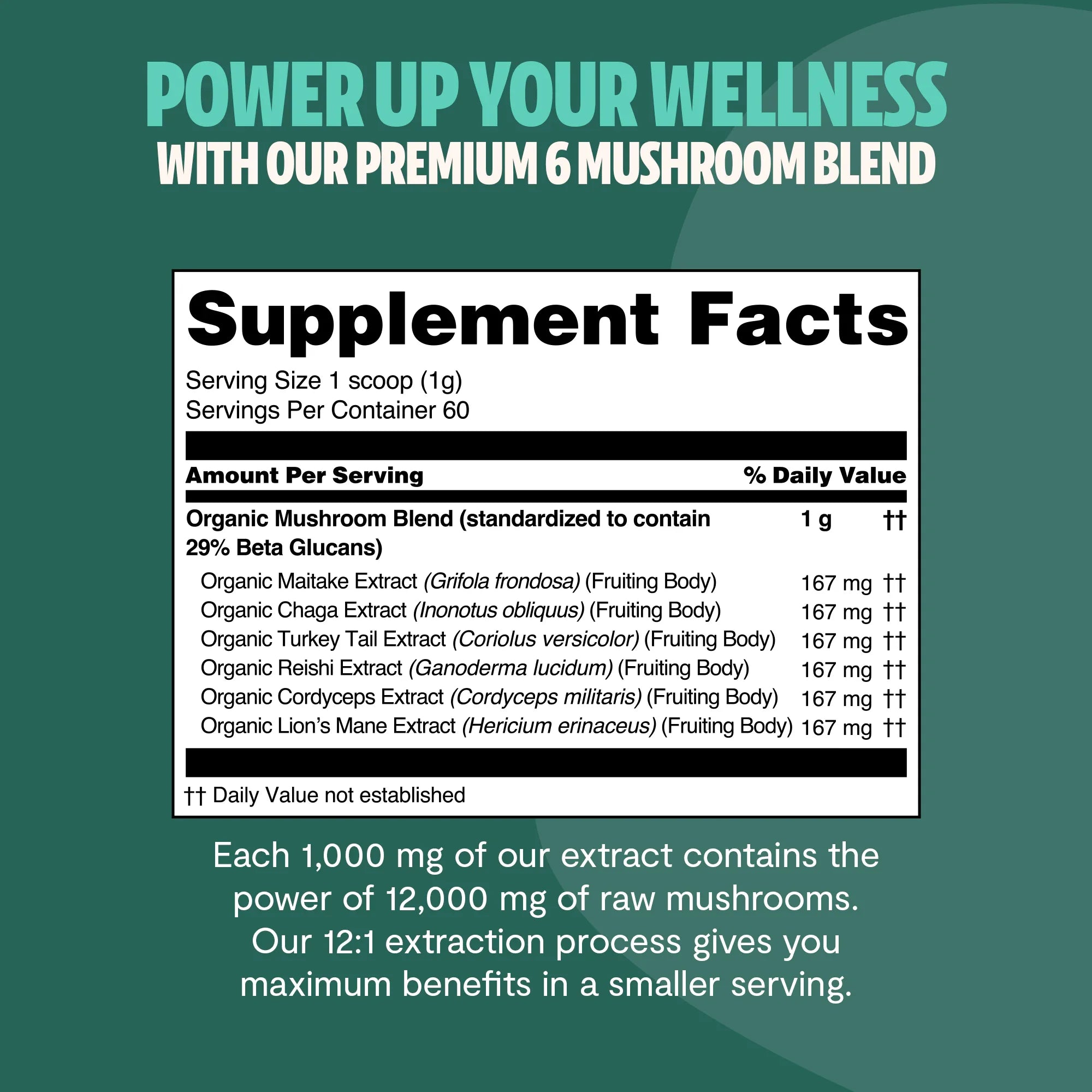 Organic Mushroom Extract Powder Blend