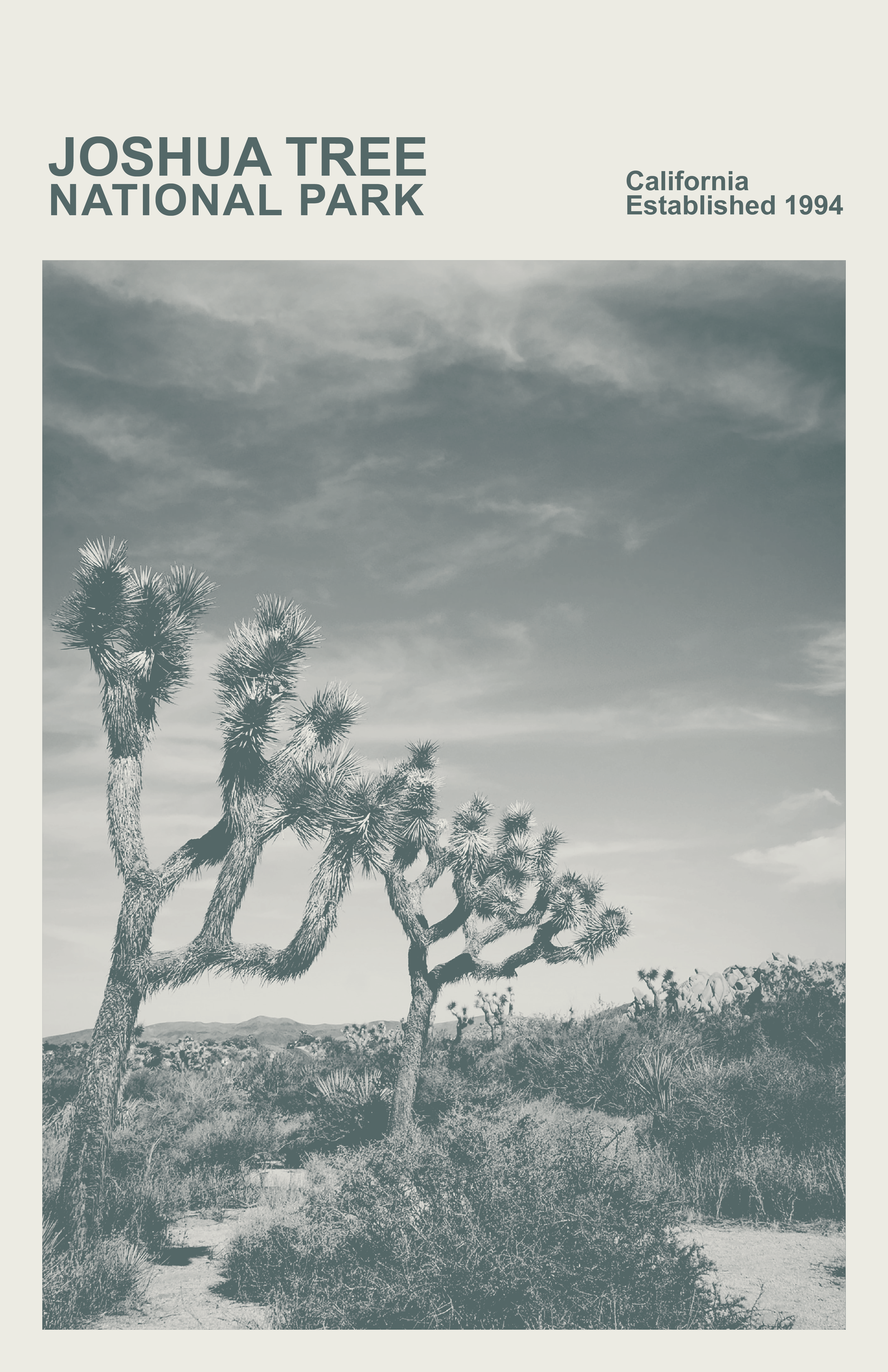 Joshua Tree National Park Print