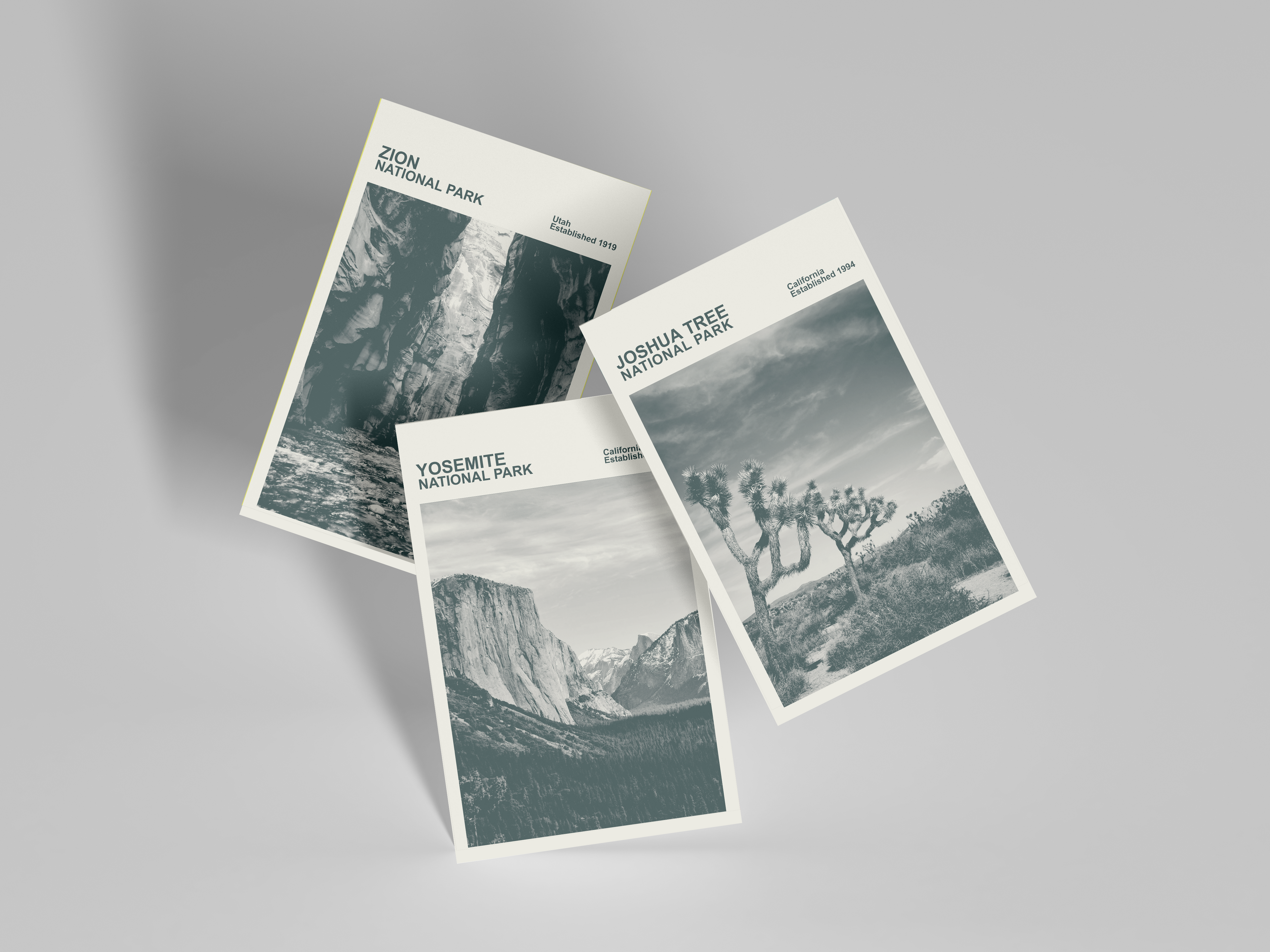 Joshua Tree National Park Print