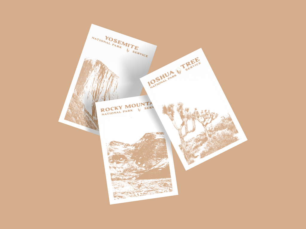 Joshua Tree Print